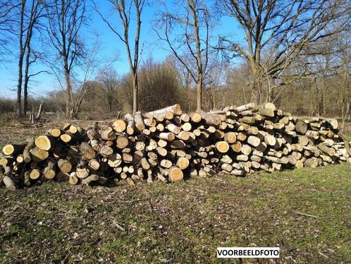 brandhout regio Maaseik, Tuin en Terras, Brandhout, Stammen, Ophalen