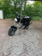 Skyteam dax 50cc b klasse, Motoren, Particulier, 50 cc, 1 cilinder
