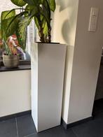 Plantenzuil te koop of te huur, Enlèvement, Comme neuf