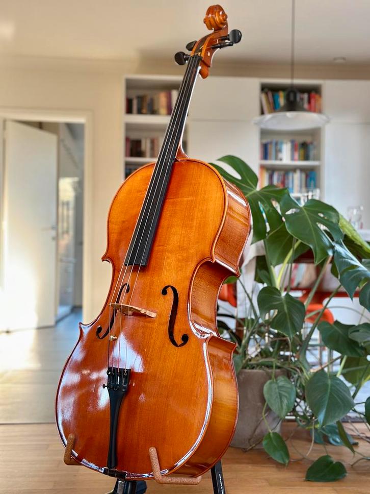 Prachtige Duitse Cello - 4/4, Muziek en Instrumenten, Strijkinstrumenten | Cello's, Nieuw, 4/4-cello, Met koffer, Ophalen
