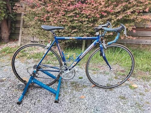 Columbus  Sidney 2000 met cycletrack, Vélos & Vélomoteurs, Vélos | Ancêtres & Oldtimers, 51 à 55 cm, Enlèvement