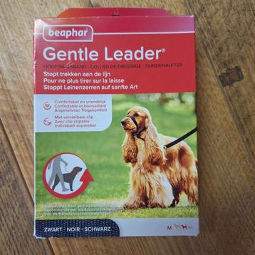 Gentle leader beschikbaar voor biedingen