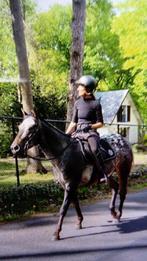 Goed rijzadel, Dieren en Toebehoren, Paarden en Pony's | Zadels, Ophalen, Gebruikt