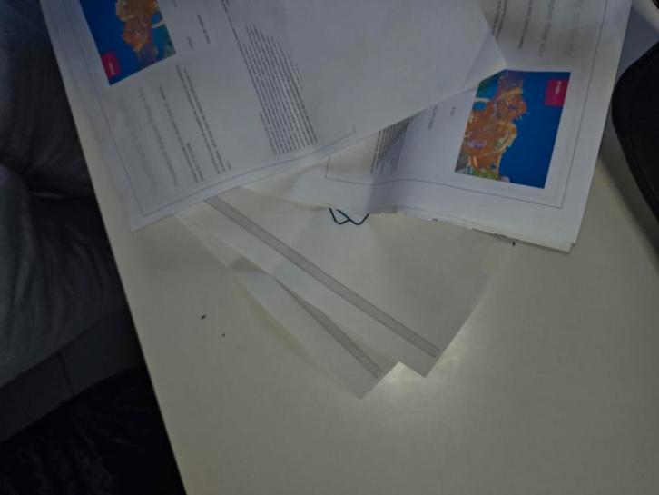 5 billet adultes plopsaland jusqu'à juillet, Tickets en Kaartjes, Recreatie | Pretparken en Attractieparken