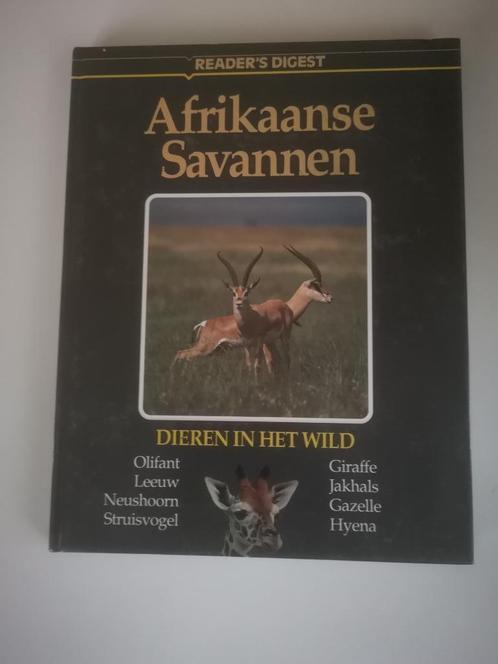 Afikaanse Savannen – Dieren, Livres, Nature, Envoi