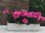 BACS A FLEURS- JARDINIÈRES POUR TERRASSES, BALCONS OU JARDIN, Ophalen, Gebruikt, Rechthoekig, Overige materialen