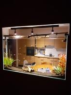 Aquarium, Ophalen, Zo goed als nieuw, Gevuld zoetwateraquarium
