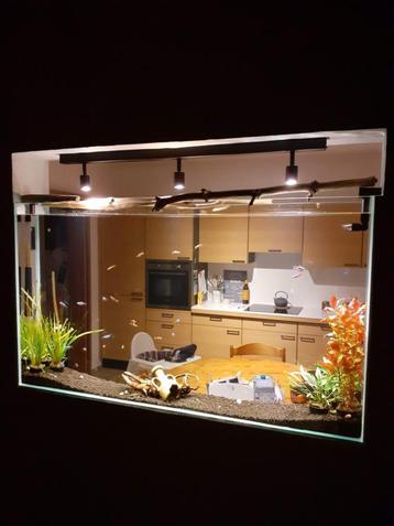 Aquarium beschikbaar voor biedingen