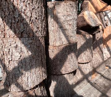 Hout Den, prijs overeen te komen beschikbaar voor biedingen