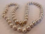 Lichtgrijs parelcollier met bicolor 14 karaat gouden slot, Handtassen en Accessoires, Antieke sieraden, Verzenden, Goud, Ketting