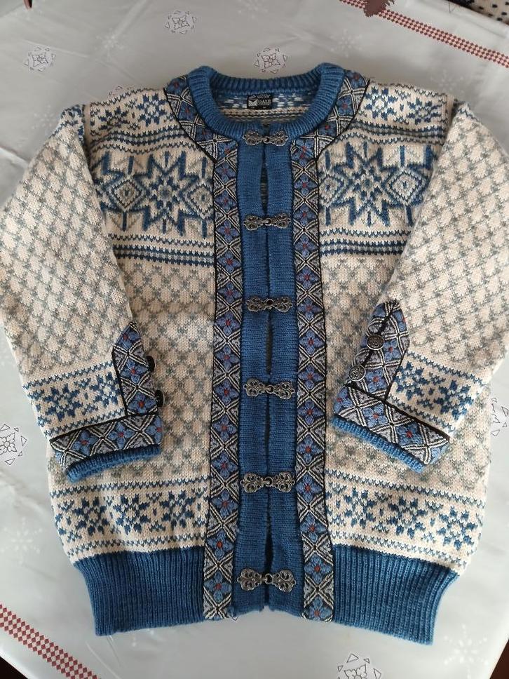 Nieuwe Noorse vest ( 100% wol) M, Kleding | Dames, Truien en Vesten, Nieuw, Maat 38/40 (M), Ophalen of Verzenden