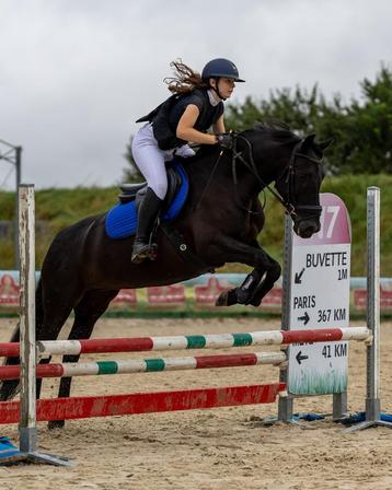 JUMENT 10 ans  beschikbaar voor biedingen