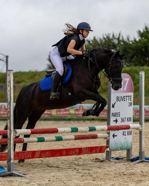 JUMENT 10 ans, Dieren en Toebehoren, Paarden, Niet van toepassing, Minder dan 160 cm, 7 tot 10 jaar