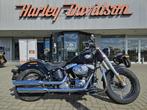 Harley-Davidson FLS Slim 103 (bj 2014), Bedrijf, Overig