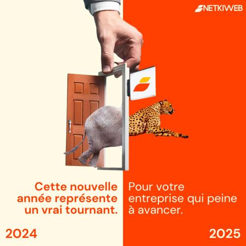 Création de Site Internet, Informatique & Logiciels, Systèmes d'exploitation, Neuf, Enlèvement