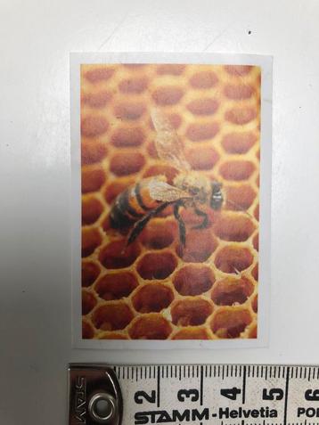 Sticker Bee Happy nr 26