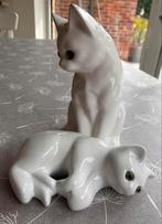 Chats en porcelaine aux yeux en verre, Enlèvement ou Envoi