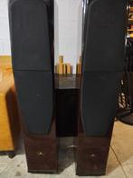 Aurum Cantus luidspreker - klassiek 2005, Muziek en Instrumenten, Versterkers | Keyboard, Monitor en PA, Zo goed als nieuw