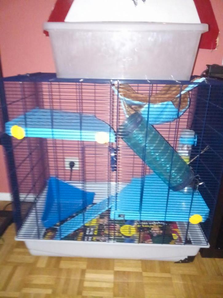 Frettenkooi, Dieren en Toebehoren, Overige Dieren, Januari