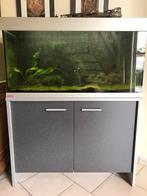 Aquarium Eheim 240 liter, Dieren en Toebehoren, Ophalen, Gebruikt, Gevuld zoetwateraquarium
