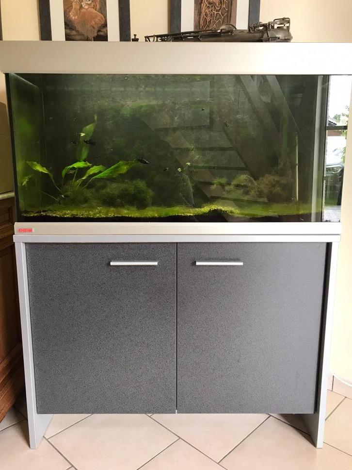 Aquarium Eheim 240 liter + meubel en toebehoren, Dieren en Toebehoren, Vissen | Aquaria en Toebehoren, Gebruikt, Leeg aquarium