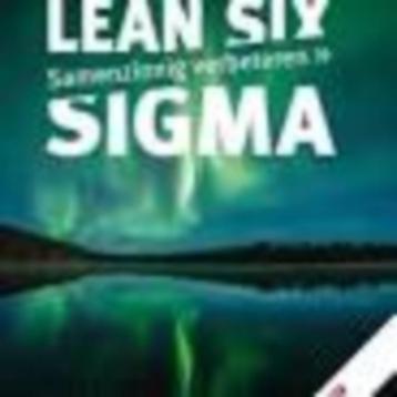 Lean Six Sigma samenzinnig verbeteren Marcus Berman e.a. beschikbaar voor biedingen