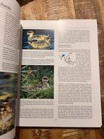 Histoire naturelle de la sauvagine, couverture rigide par To, Enlèvement ou Envoi, Comme neuf, Oiseaux, Frank S. Todd