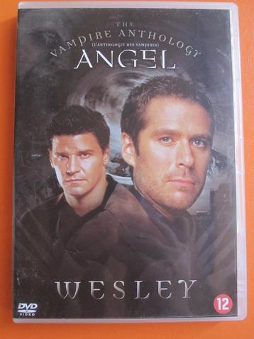 Angel - Wesley beschikbaar voor biedingen