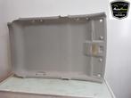 HEMELBEKLEDING Suzuki Celerio (LF) (NIETAFLEESBAAR), Auto-onderdelen, Interieur en Bekleding, Gebruikt, Suzuki