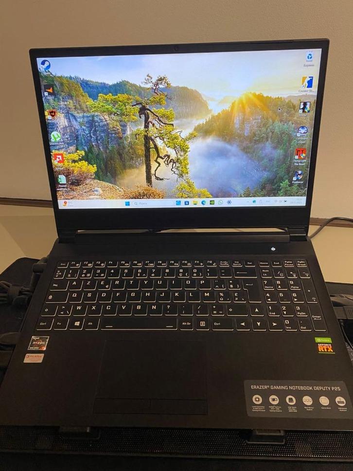 Gaming laptop Medion erazer deputy p25, Computers en Software, Windows Laptops, Zo goed als nieuw, 15 inch, SSD, 3 tot 4 Ghz, 16 GB