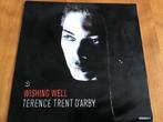 Terence Trent D’Arby - Wishing Well., Utilisé, Enlèvement ou Envoi