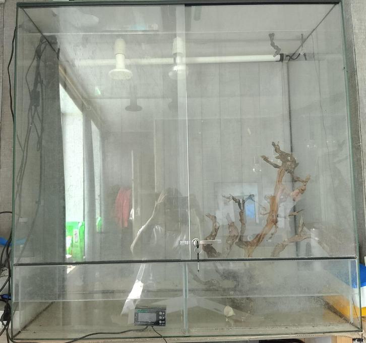 A vendre terrarium Complet, Dieren en Toebehoren, Reptielen en Amfibieën | Toebehoren, Gebruikt, Terrarium of Paludarium, Ophalen