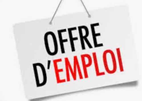 Offre d’emploi taxi de rue bruxellois, Offres d'emploi, Emplois | Chauffeurs