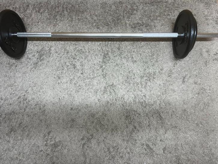 halterstang + 30kg aan schijven, Sport en Fitness, Fitnessmaterialen, Ophalen