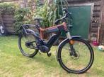 Riese en muller  peddelec, Fietsen en Brommers, Elektrische fietsen, Ophalen, Gebruikt, 30 tot 50 km per accu, Riese & Müller