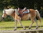 Westernzadel Pools (16 inch) + one ear hoofdstel set (cob), Dieren en Toebehoren, Paarden en Pony's | Zadels, Ophalen, Gebruikt
