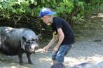 🎉 Anniversaire inoubliable avec rapaces et animaux 🦅, Ophalen, Nieuw