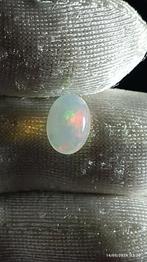 Très beau cabochon d'opale Welo d'Ethiopie, Enlèvement ou Envoi, Neuf