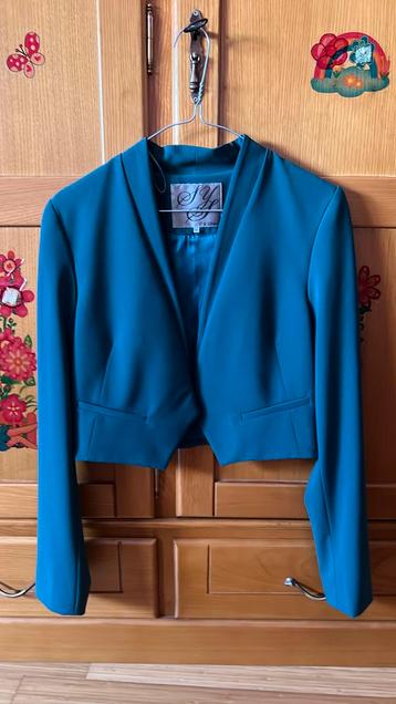 Petite veste verte, Enlèvement, Comme neuf