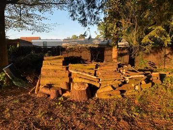 Brandhout, Tuin en Terras, Brandhout, 3 tot 6 m³, Ophalen of Verzenden, Overige houtsoorten, Stammen