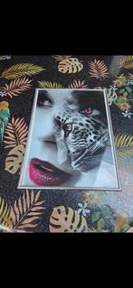 Cadre tigre léopard et panthère, Enlèvement