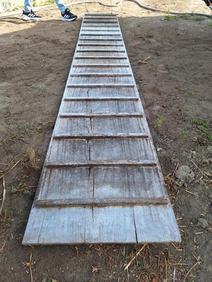 Passerelle pour animaux, Animaux & Accessoires, Accessoires pour chiens, Comme neuf, Enlèvement