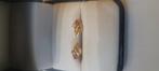 Boucle d'oreille 18k, Handtassen en Accessoires, Ringen, Ophalen, Zo goed als nieuw, Goud, Goud