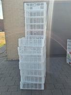 19 plastieke bakjes, Ophalen, Minder dan 35 cm, Minder dan 50 cm, Zo goed als nieuw