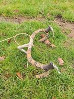 Stuur, Fietsen en Brommers, Fietsen | Racefietsen, Ophalen