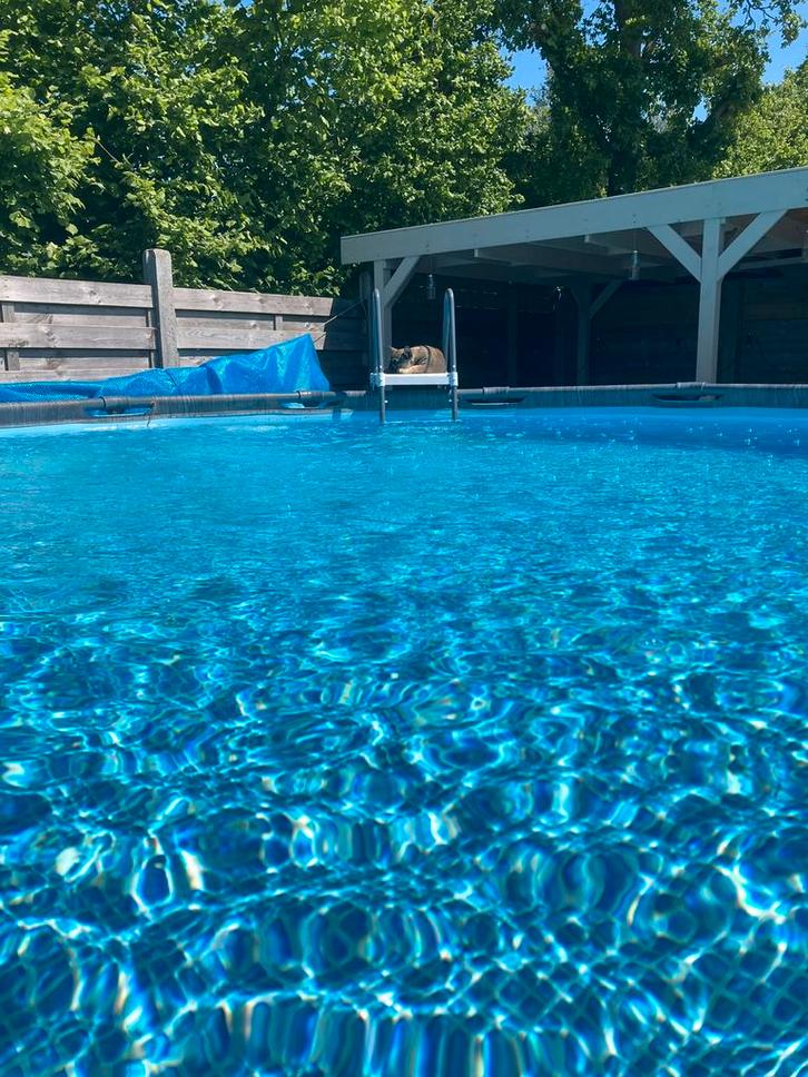 Zwembad intex greywood, Jardin & Terrasse, Piscines, Comme neuf, Enlèvement