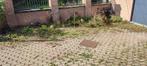 Express jardinage entretien et tonte élagage taille haie etc, Tuin en Terras, Grind, Keien en Split, Ophalen of Verzenden, Zo goed als nieuw