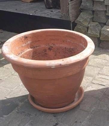 1 ronde terracotta bloempotten, Enlèvement