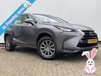 Lexus NX 300 300h AWD Navi Camera Leer Trekhaak Hoge zit Bus, Autos, Lexus, Argent ou Gris, Achat, Entreprise, Carnet d'entretien