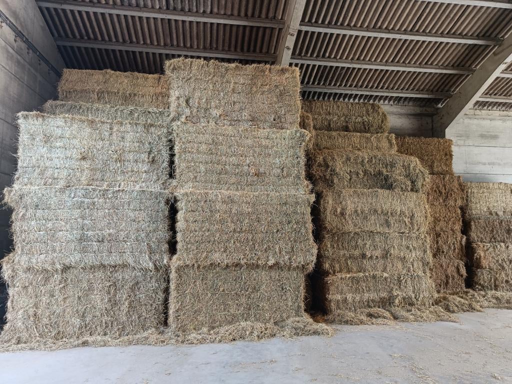 Foin de prairie, Animaux & Accessoires, Nourriture pour Animaux, Bétail, Enlèvement ou Envoi